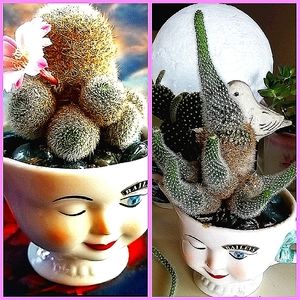 I ❤ OFFERS Thank You For Peeking In At My Closet ❤